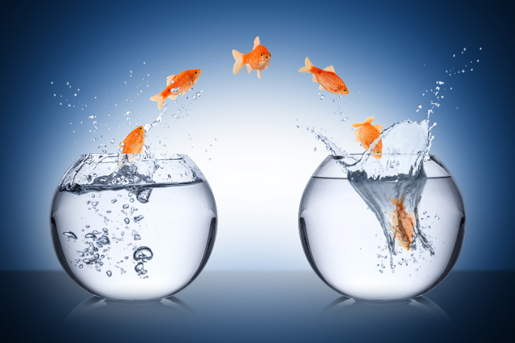 Changer de bocal | Mobilité professionnelle