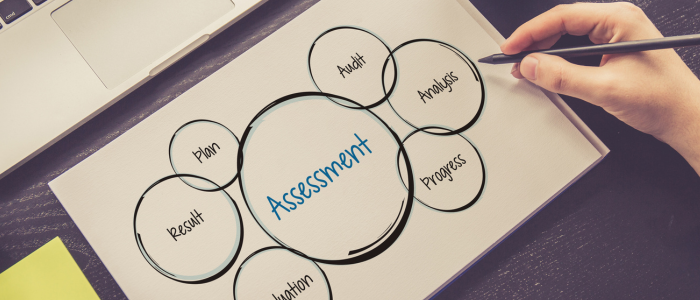 Assessment
